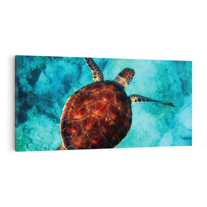 Obraz na płótnie 100x50 - Morze, fale i skały - żółw, morze