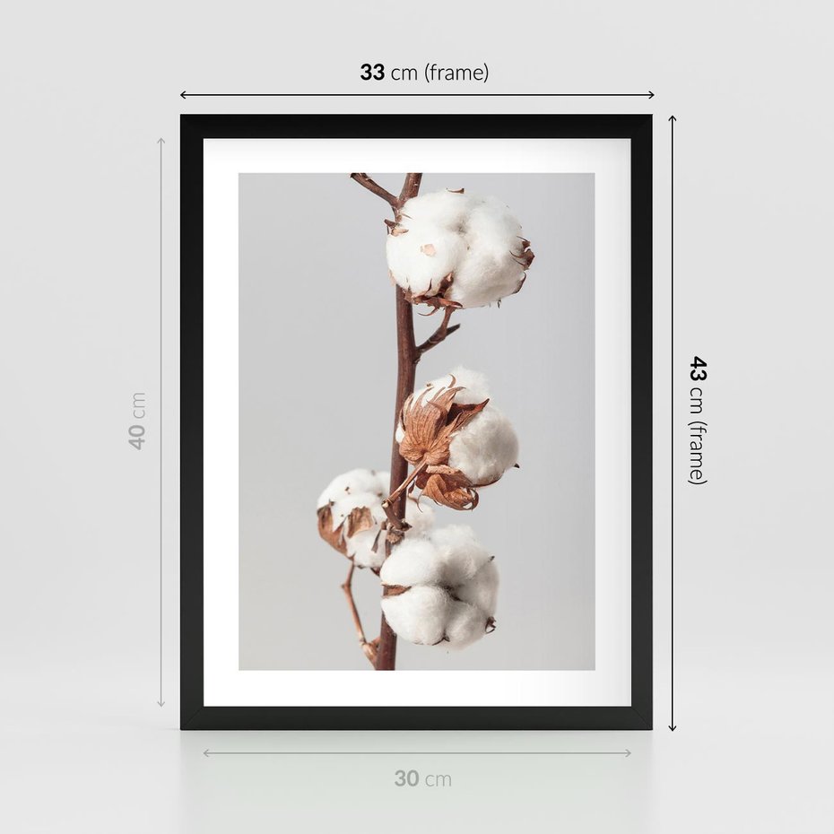 Plakat w ramie 30x40 - Spokojna Gałązka Bawełny - gałązka bawełny, prosta spokojna fotografia - rama czarna