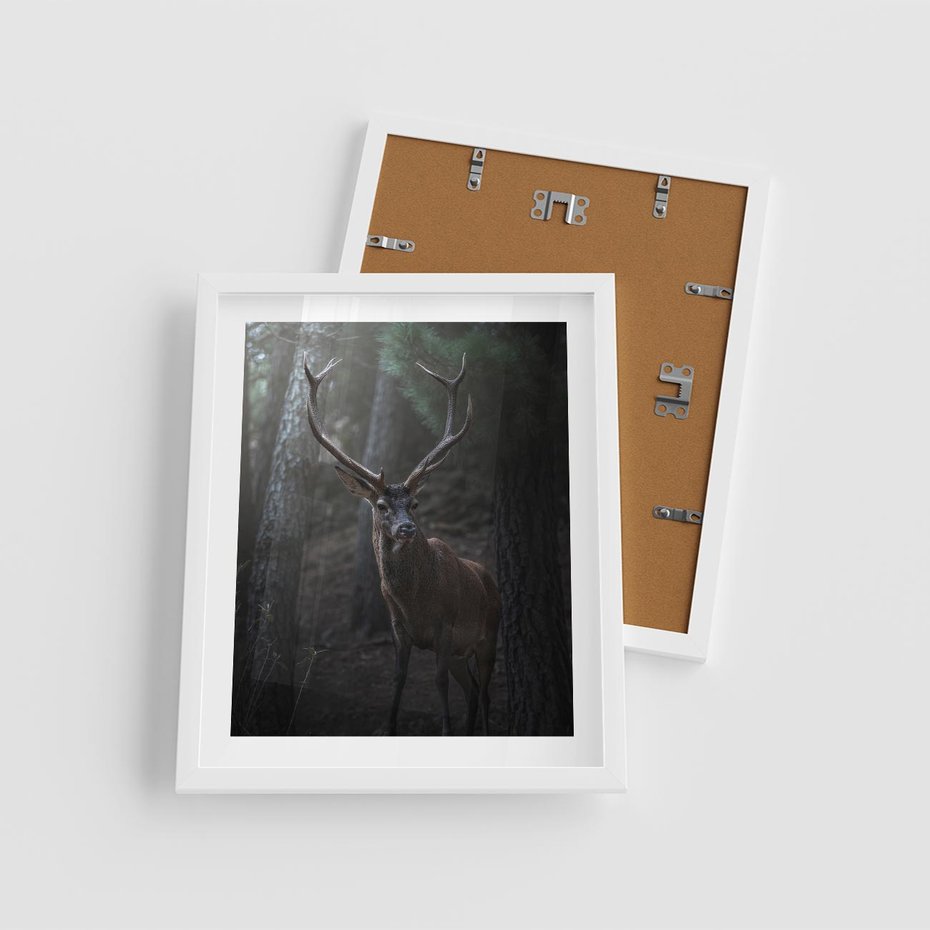 Plakat w ramie 40x50 - Jeleń wśród lasu - jeleń, las - rama biała