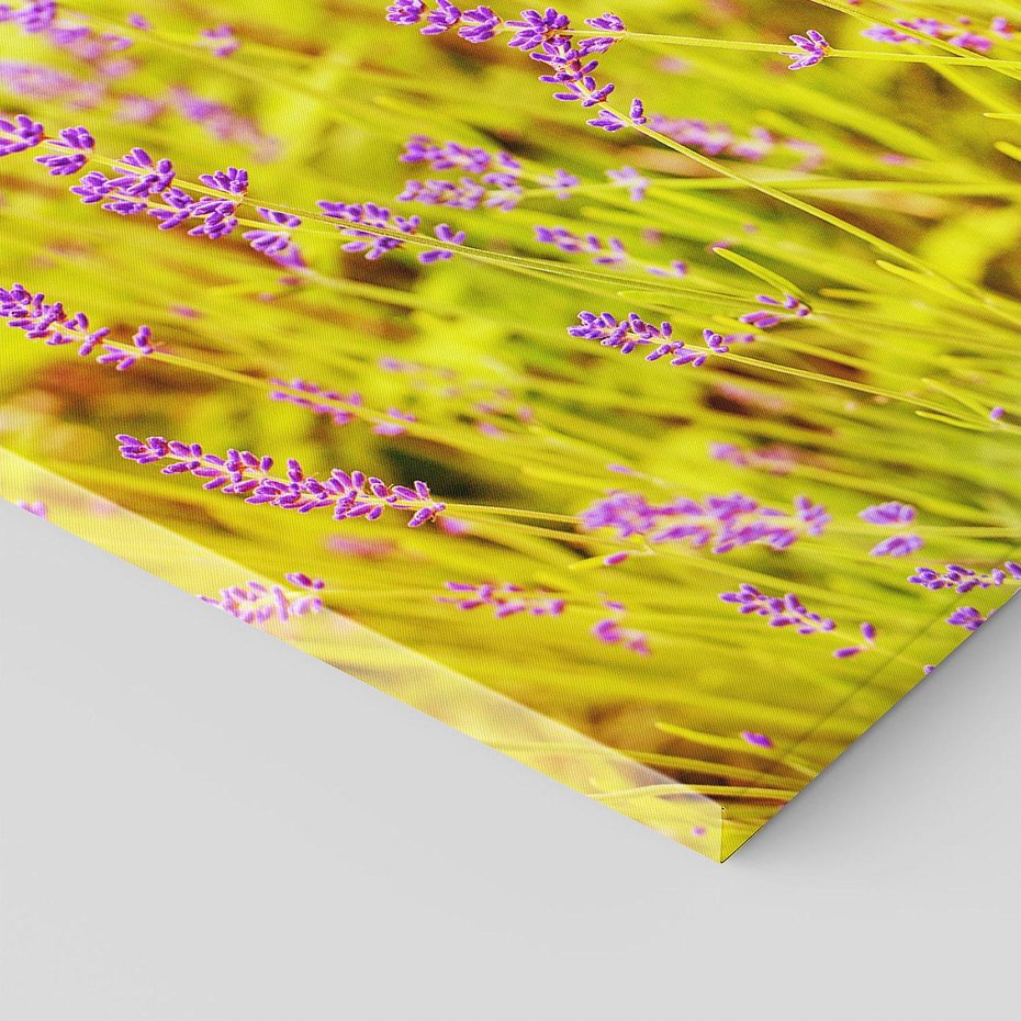 Obraz na płótnie 50x70 - Delikatność natury - lawenda, kwiaty