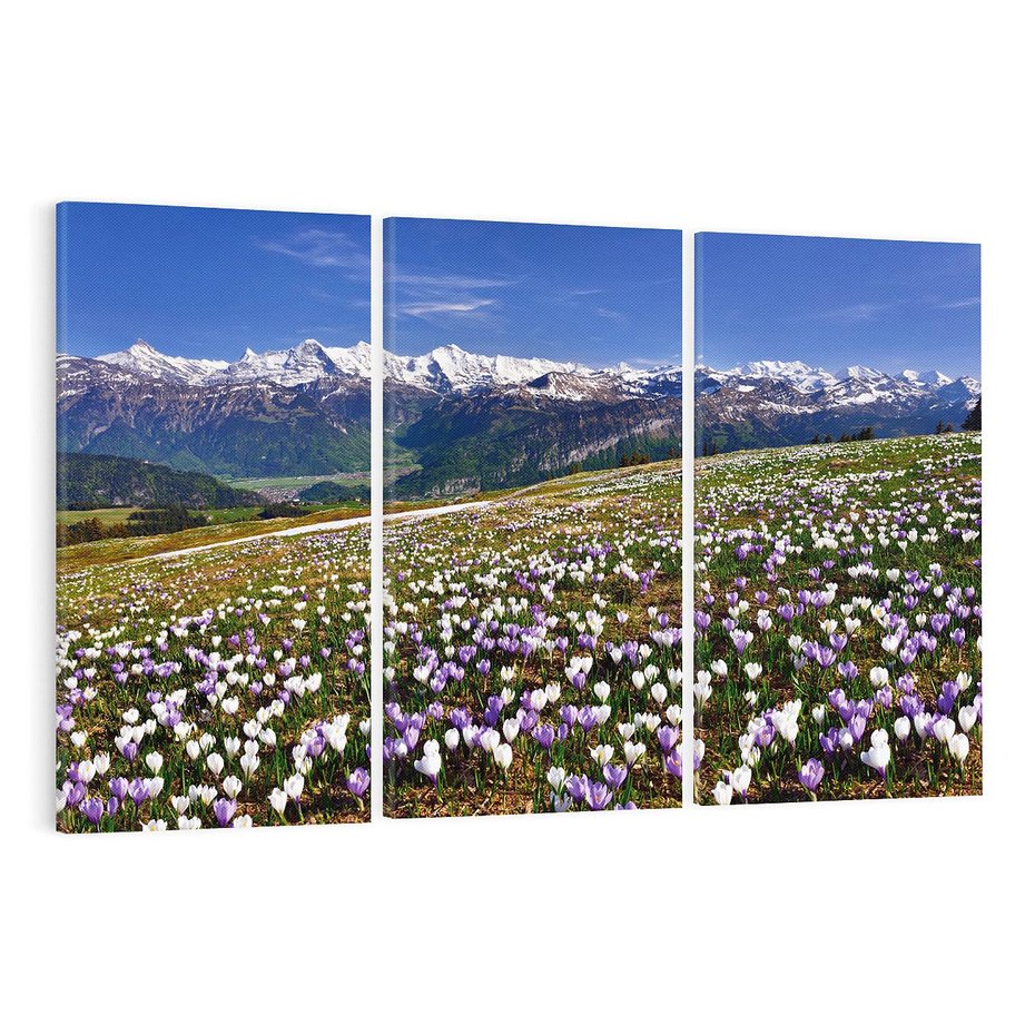 Obraz na płótnie 120x80 - Wiosenne Czarowanie - krokusy, góry