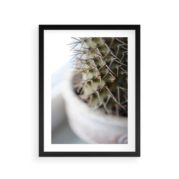 Plakat w ramie 40x50 - Kaktus w Zbliżeniu - kaktus, igły - rama czarna