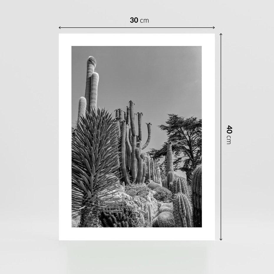 Plakat bez ramy 30x40 - Pustynny Klimat - czarno białe zdjecie, pustynia