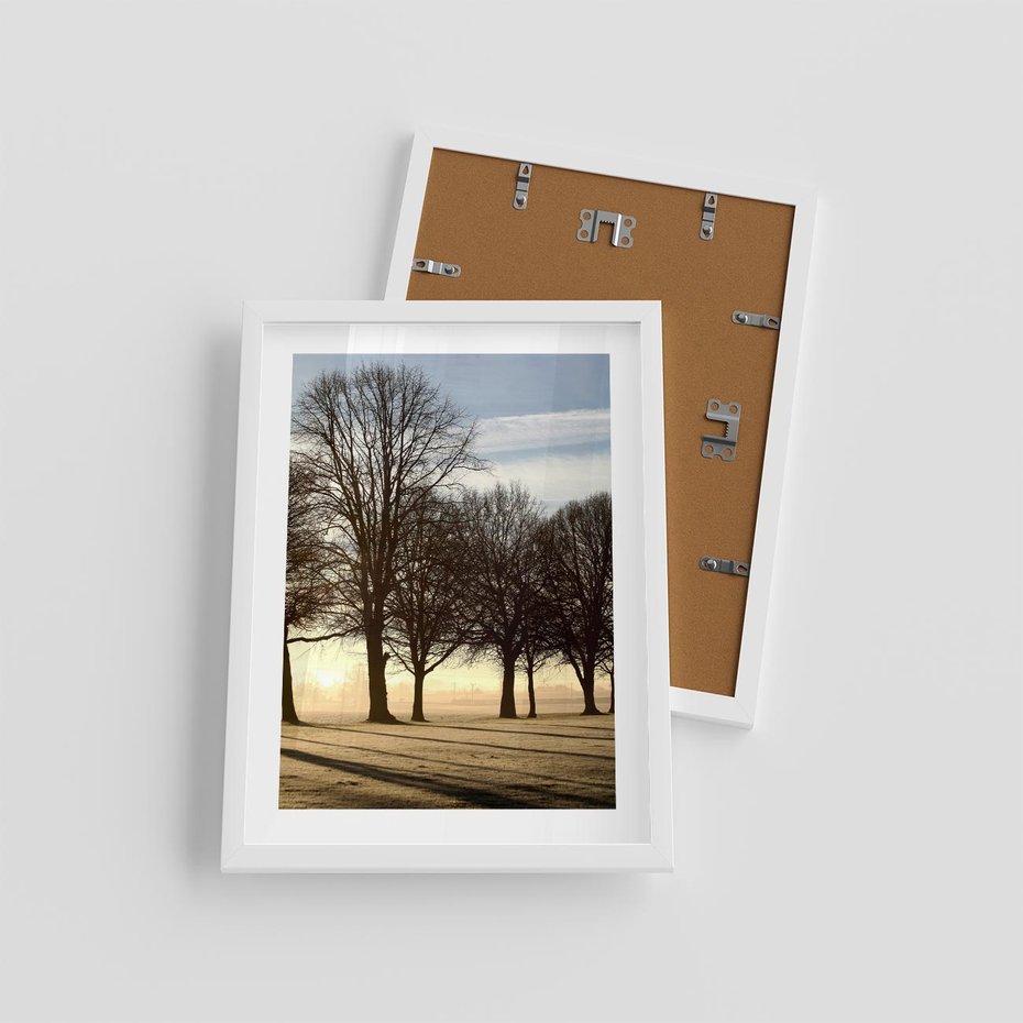 Plakat w ramie 30x40 - Siła natury - drzewa, pole - rama biała