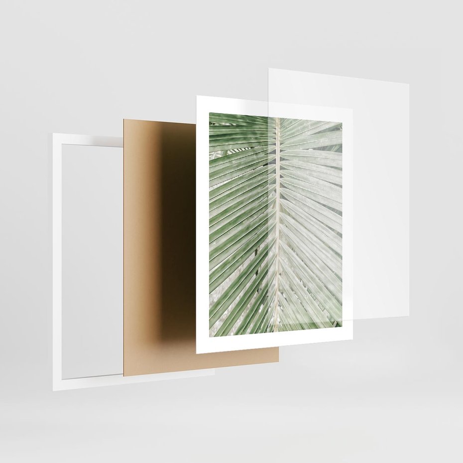 Plakat w ramie 40x50 - Jasna Zieleń Palmy - liść palmy, zbliżenie - rama biała