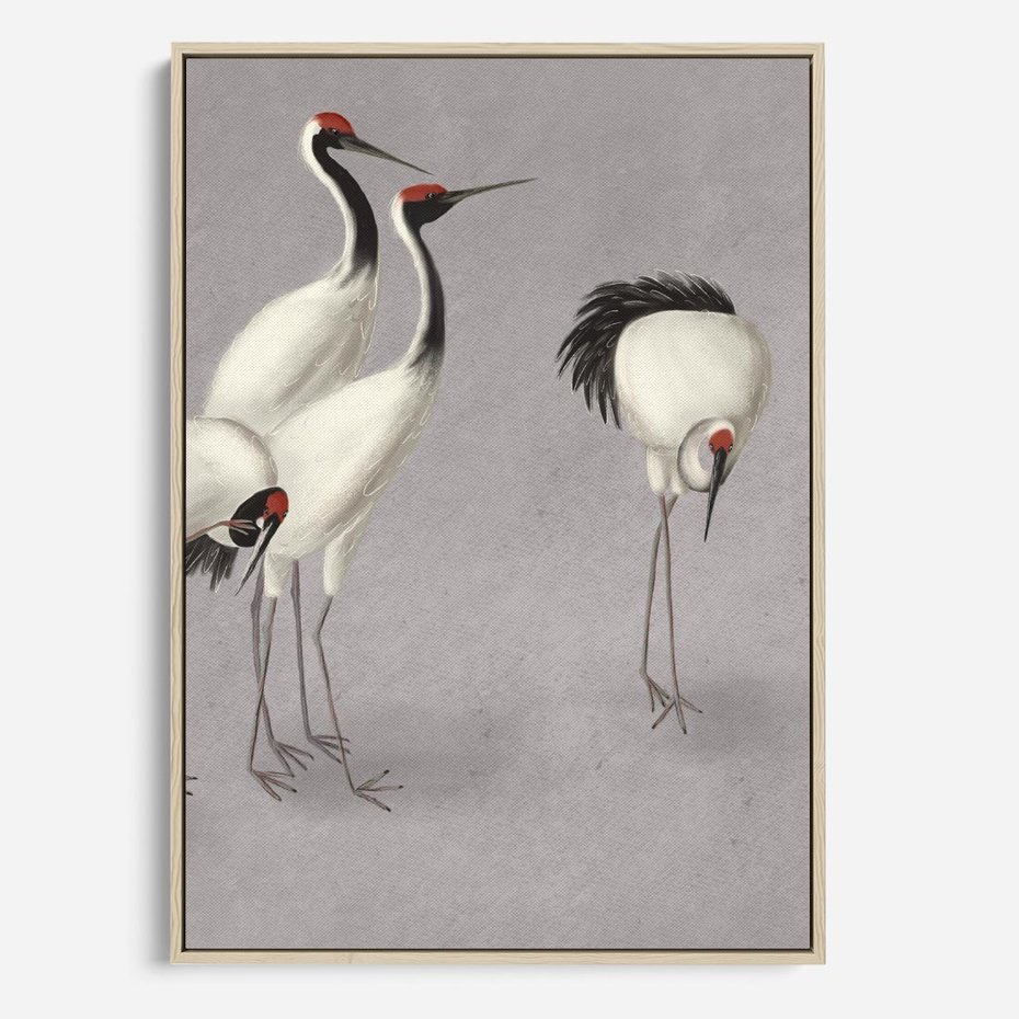 Obraz w ramie 70x100 - Spojrzenie wstecz w pędzlu - szkic rysunek, japońskie żurawie - rama drewno