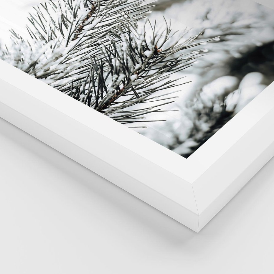 Plakat w ramie 50x70 - Chwila Zimowej Magii - iglasta gałązka, śnieg - rama biała