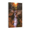 Obraz na płótnie 70x100 - Barwna Harmonia - strumień, las