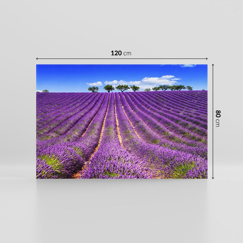 Obraz na płótnie 120x80 - pola wonnych kwiatów - lawenda, kwiaty
