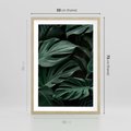 Plakat w ramie 50x70 - Zielone Liście Monstery w Dżungli - zielone liście monstery, dżungla - rama drewno