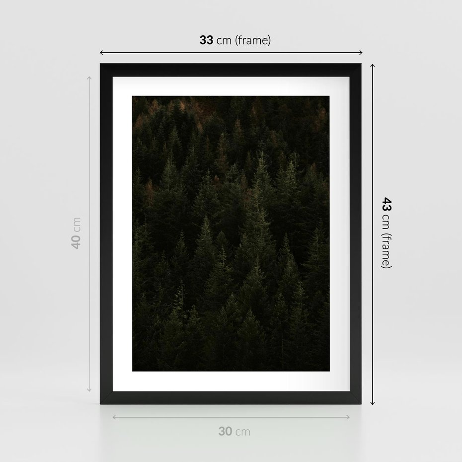 Plakat w ramie 30x40 - Ciemny las iglasty - las, iglasty - rama czarna