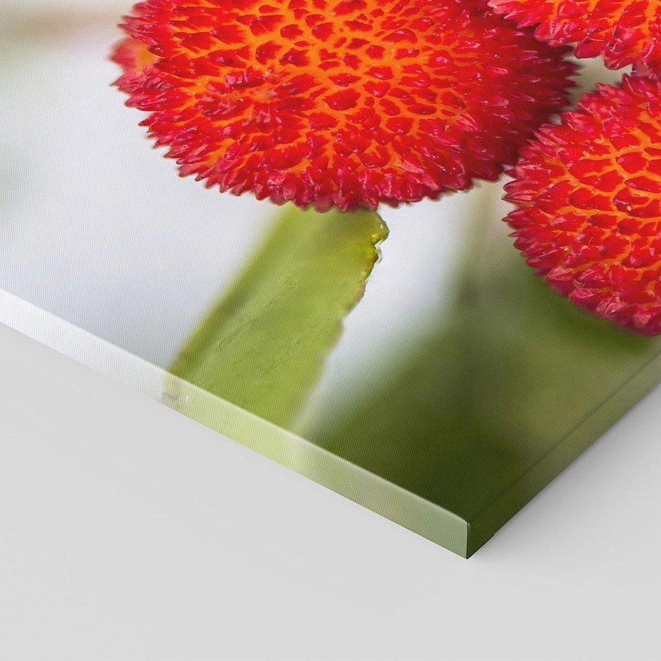 Obraz na płótnie 120x60 - Liczi Owoce - liczi, owoce