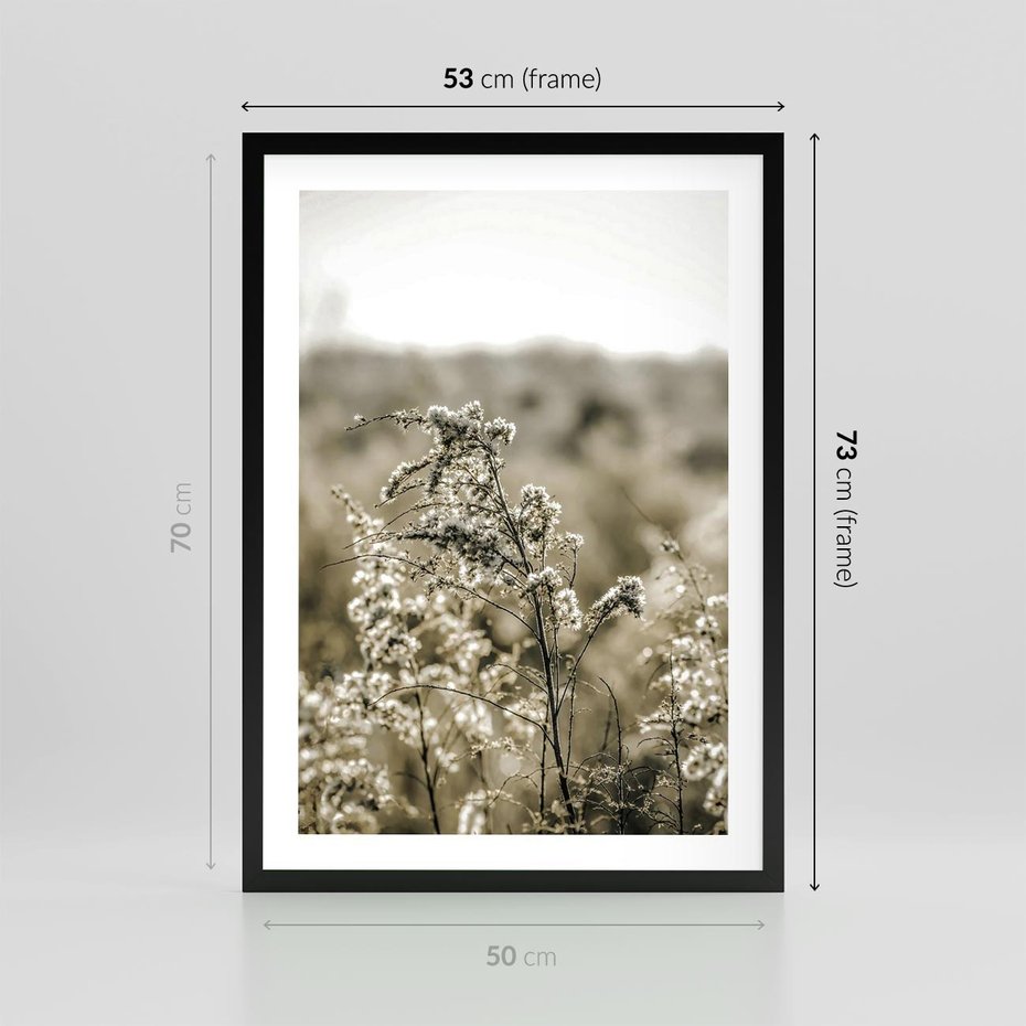 Plakat w ramie 50x70 - Pampas i Bocho - suche trawy, bocho - rama czarna