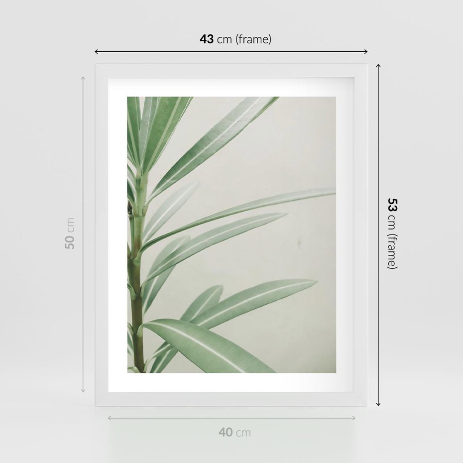 Plakat w ramie 40x50 - Minimalistyczna Tropikalna Harmonia - tropikalna roślina, zielone liście - rama biała