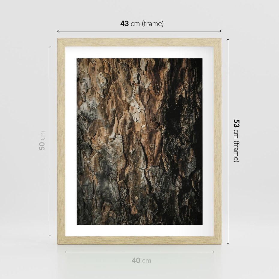 Plakat w ramie 40x50 - Tekstura Drewna: Zbliżenie - zbliżenie na pień drzewa, tekstura - rama drewno