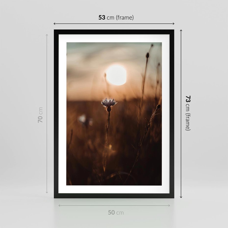 Plakat w ramie 50x70 - Spokój łąki pod zachodem słońca - zachód, słońca - rama czarna
