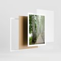 Plakat w ramie 50x70 - Spacer ścieżką przez brzozowy las - las, ścieżka - rama biała