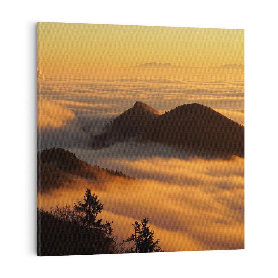 Obraz na płótnie 70x70 - Górzysty ukryty las - góry, las