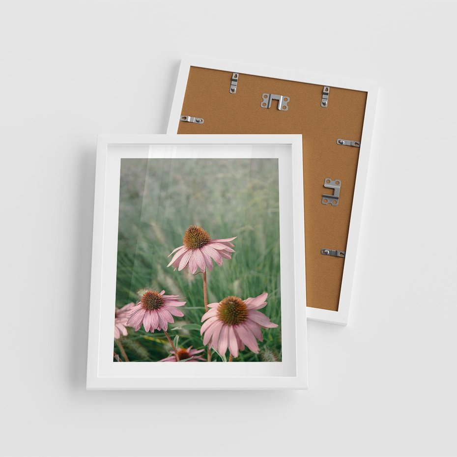 Plakat w ramie 40x50 - Natura w Pełnym Blasku - kwiaty na łące, różowe kwiaty polne - rama biała