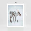 Plakat bez ramy 30x40 - Magia Świąt - renifer na śniegu, śnieg