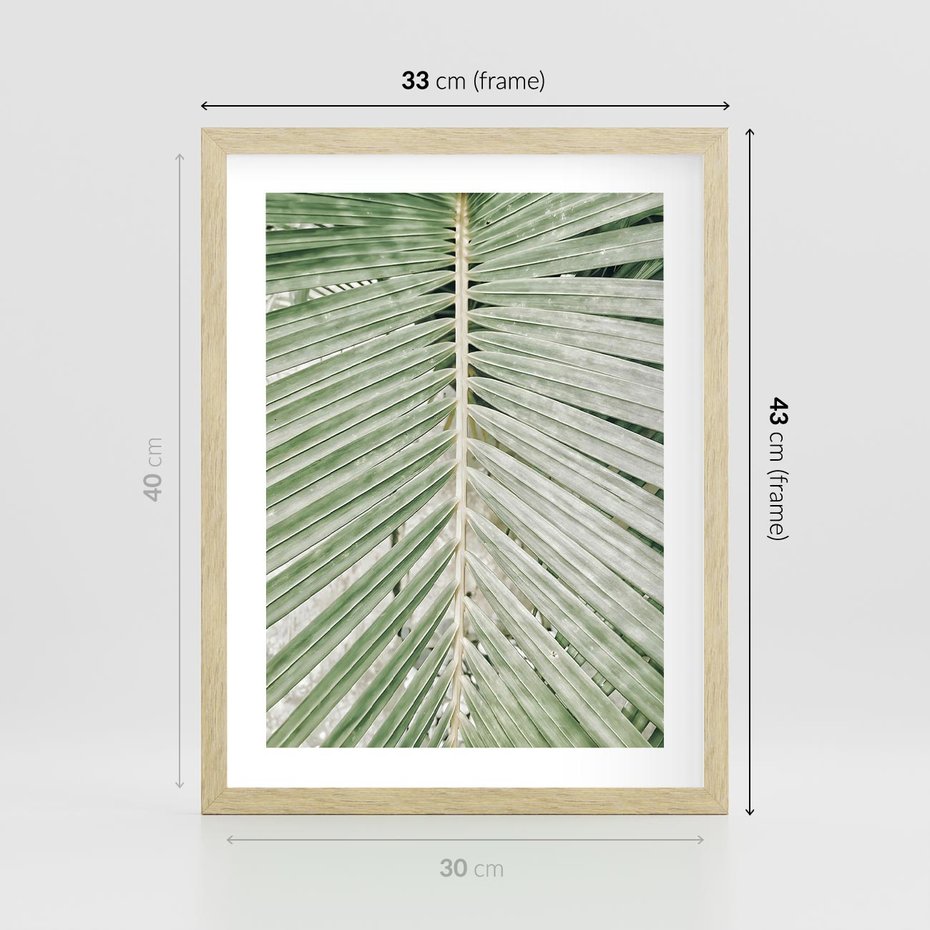 Plakat w ramie 30x40 - Jasna Zieleń Palmy - liść palmy, zbliżenie - rama drewno