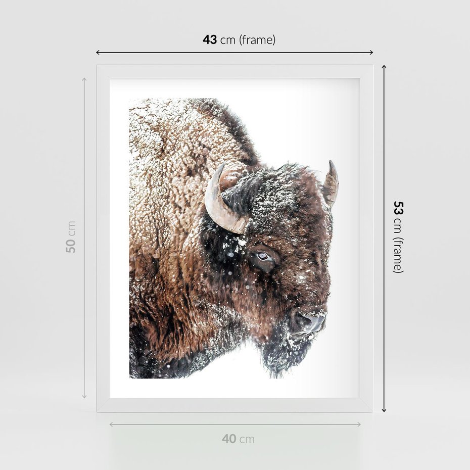 Plakat w ramie 40x50 - Obraz Dzikiej Przyrody w Śnieżnym Otoczeniu - żubr, śnieg - rama biała