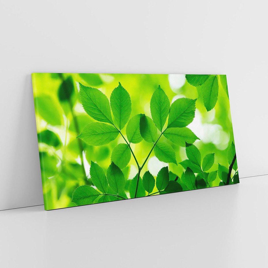 Obraz na płótnie 120x60 - Magia liści - liście, drzewo