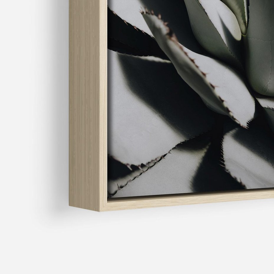 Obraz w ramie 80x80 - Sukulenty wśród kaktusów - sukulenty, kaktusy - rama drewno