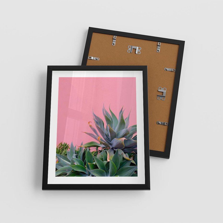 Plakat w ramie 40x50 - Tropikalne Liście na Różowej Ścianie - różowa ściana, tropikalne liście na jej tle - rama czarna