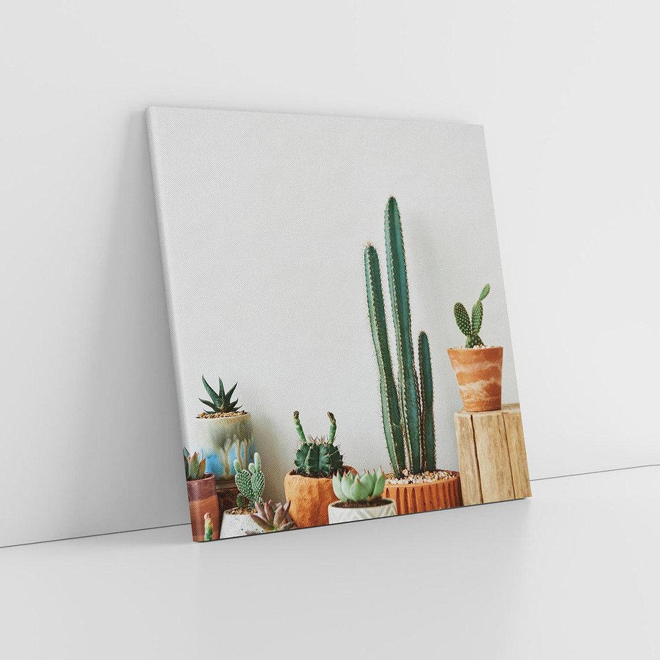 Obraz na płótnie 80x80 - Naturalna Harmonia - kaktusy, liście