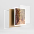 Plakat w ramie 40x50 - Wędrówka między drzewami - droga, drzewa - rama biała