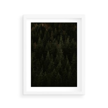 Plakat w ramie 50x70 - Ciemny las iglasty - las, iglasty - rama biała