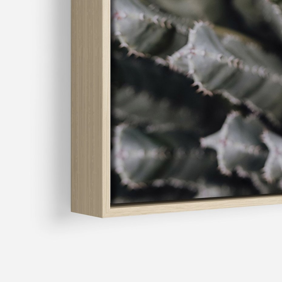 Obraz w ramie 50x70 - Boho kaktusy na pustyni - kaktusy, pustynia - rama drewno