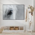 Obraz w ramie 100x70 - Oko Mocy - czarno białe zdjęcie, zbliżenie makro na oko konia - rama czarna