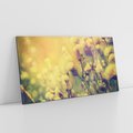 Obraz na płótnie 120x60 - Natura w pełnym rozkwicie - łąka, natura