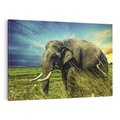 Obraz na płótnie 100x70 - Słoń w sawannie: Spotkanie z dziką przyrodą - słoń, sawanna