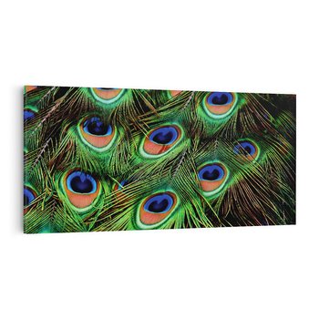 Obraz na płótnie 100x50 - Pawi Ogon - Piękno i Wspaniałość - paw, pióra