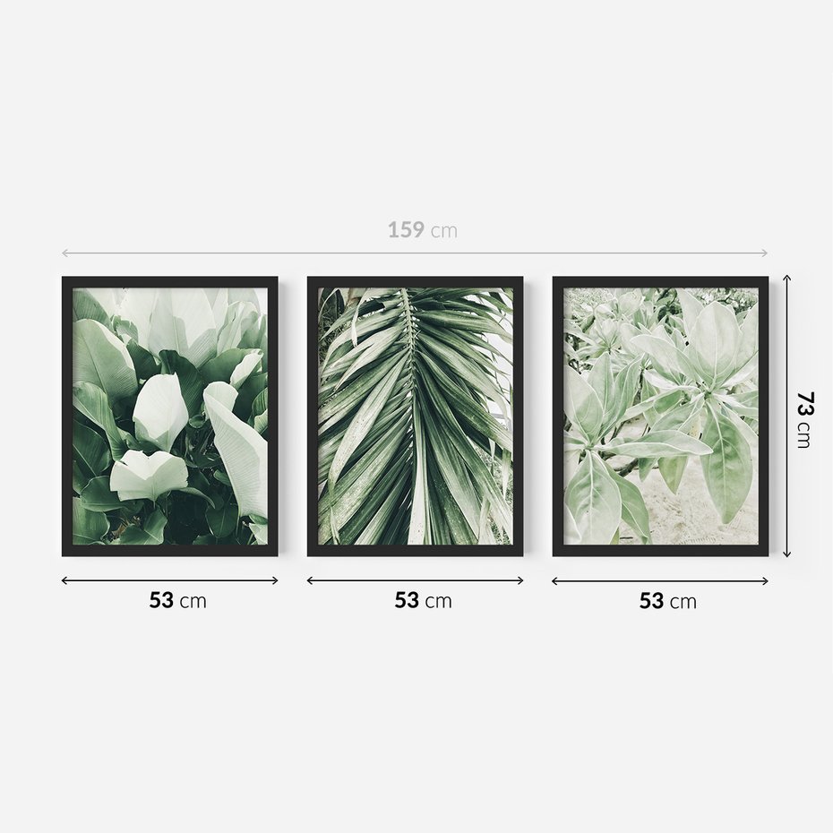 Zestaw obrazy w ramie 50x70 galeria - Liście, palma, monstera - rama czarna