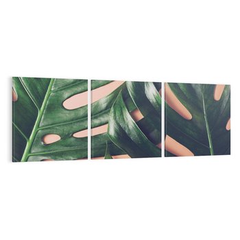 Obraz na płótnie 90x30 - Monstera Liście - monstera, liście