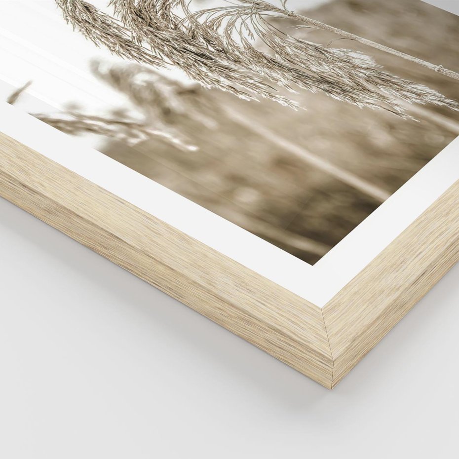 Plakat w ramie 40x50 - Ujęcie Suchych Traw - suche trawy, zbliżenie - rama drewno