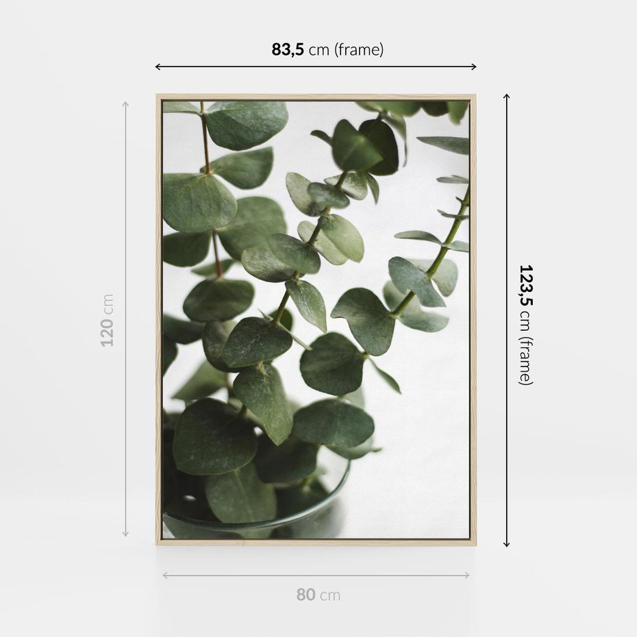 Obraz w ramie 80x120 - Zielone eukaliptusy - eukaliptus, liście - rama drewno