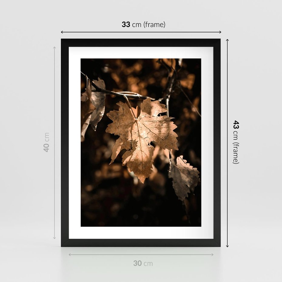 Plakat w ramie 30x40 - Uroczy Liść na Drzewie - jesienny liść, żółty liść na drzewie - rama czarna