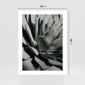 Plakat bez ramy 30x40 - Sukulenty wśród kaktusów - sukulenty, kaktusy