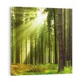 Obraz na płótnie 50x50 - Spokój wśród drzew: las w odcieniach zieleni - las, drzewa