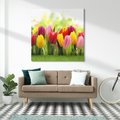 Obraz na płótnie 40x40 - delikatność kwiatowego świata - tulipany, kwiaty