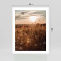 Plakat bez ramy 40x50 - Zachwyt zachodem słońca na łące - zachód, słońca