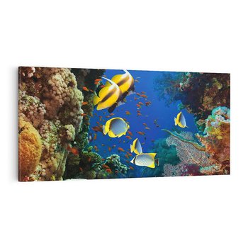 Obraz na płótnie 100x50 - Podwodne królestwo rafy koralowej - rafa, koralowa