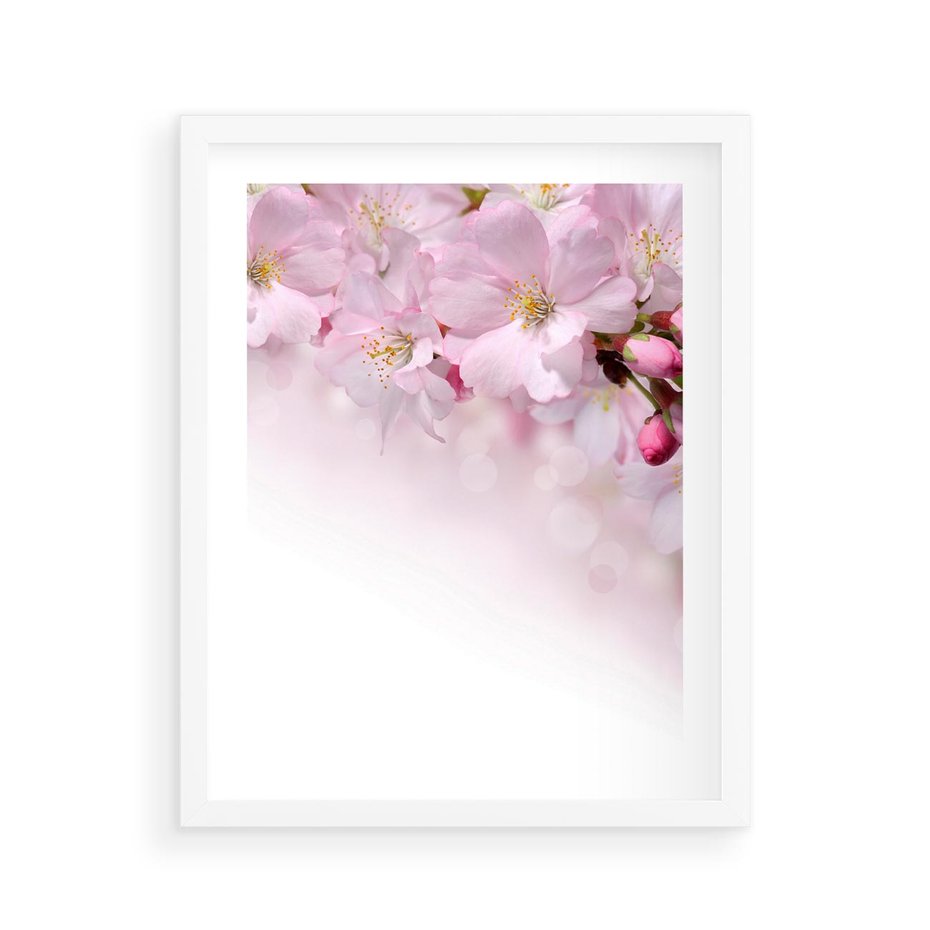 Plakat w ramie 40x50 - Kwitnąca Wiśnia - kwiaty, kwitnącej - rama biała
