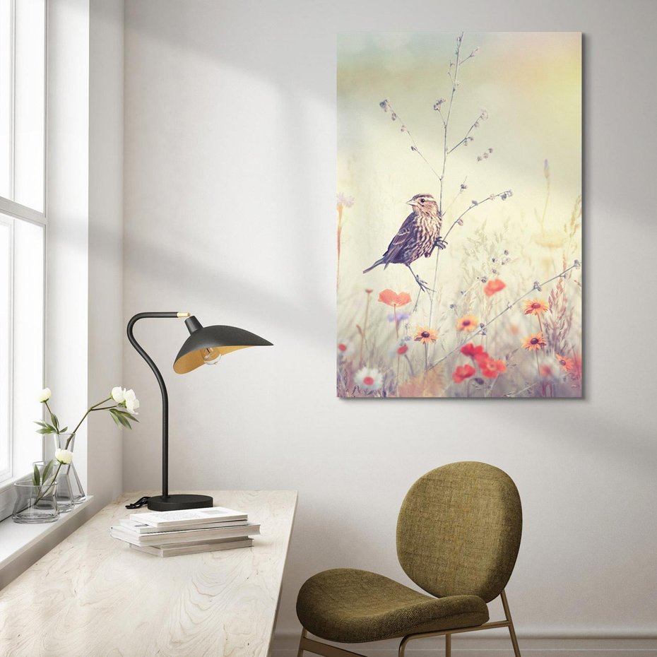 Obraz na płótnie 50x70 - Poranek wśród łąki - ptak, łąka