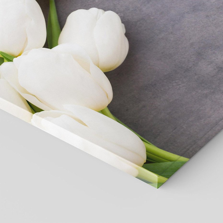 Obraz na płótnie 30x30 - Tulipanowa Kolorystyka - tulipany, kwiaty